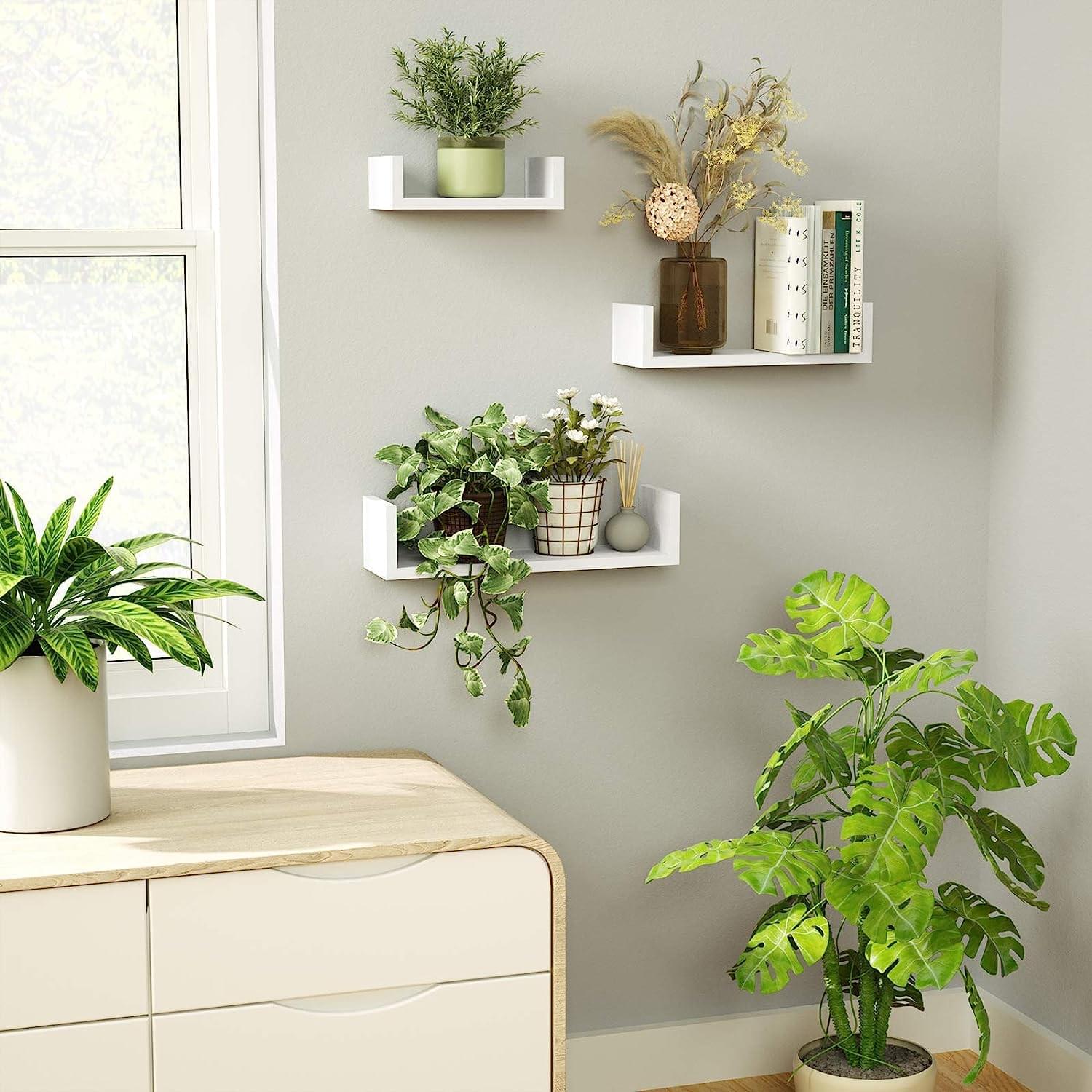 uhud-wall-shelf-design.webp